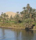 nile