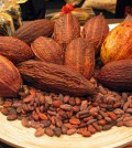 cocoa