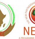 NEPAD: Why do the African development programs just fad and die?