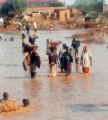 flood_sca
