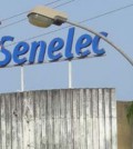 SENELEC
