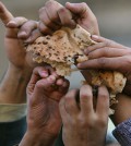 sarkozy-food-crisis